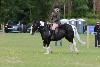 thornton-le-dale-gala showclass7acharity25-5-20159